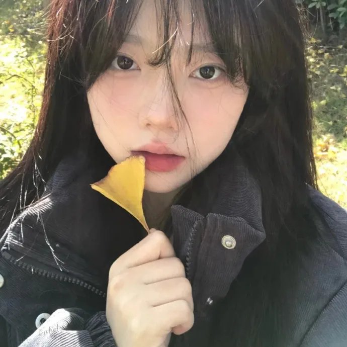 年度新片